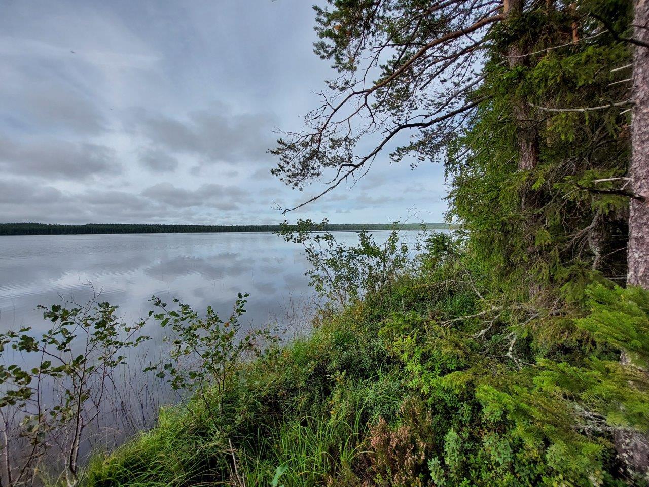 Pilvinen taivas tyynen järven yllä, rantapengertä etualalla.