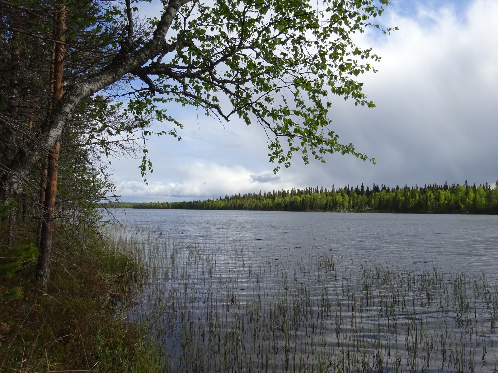 Kuva rannalta järvelle