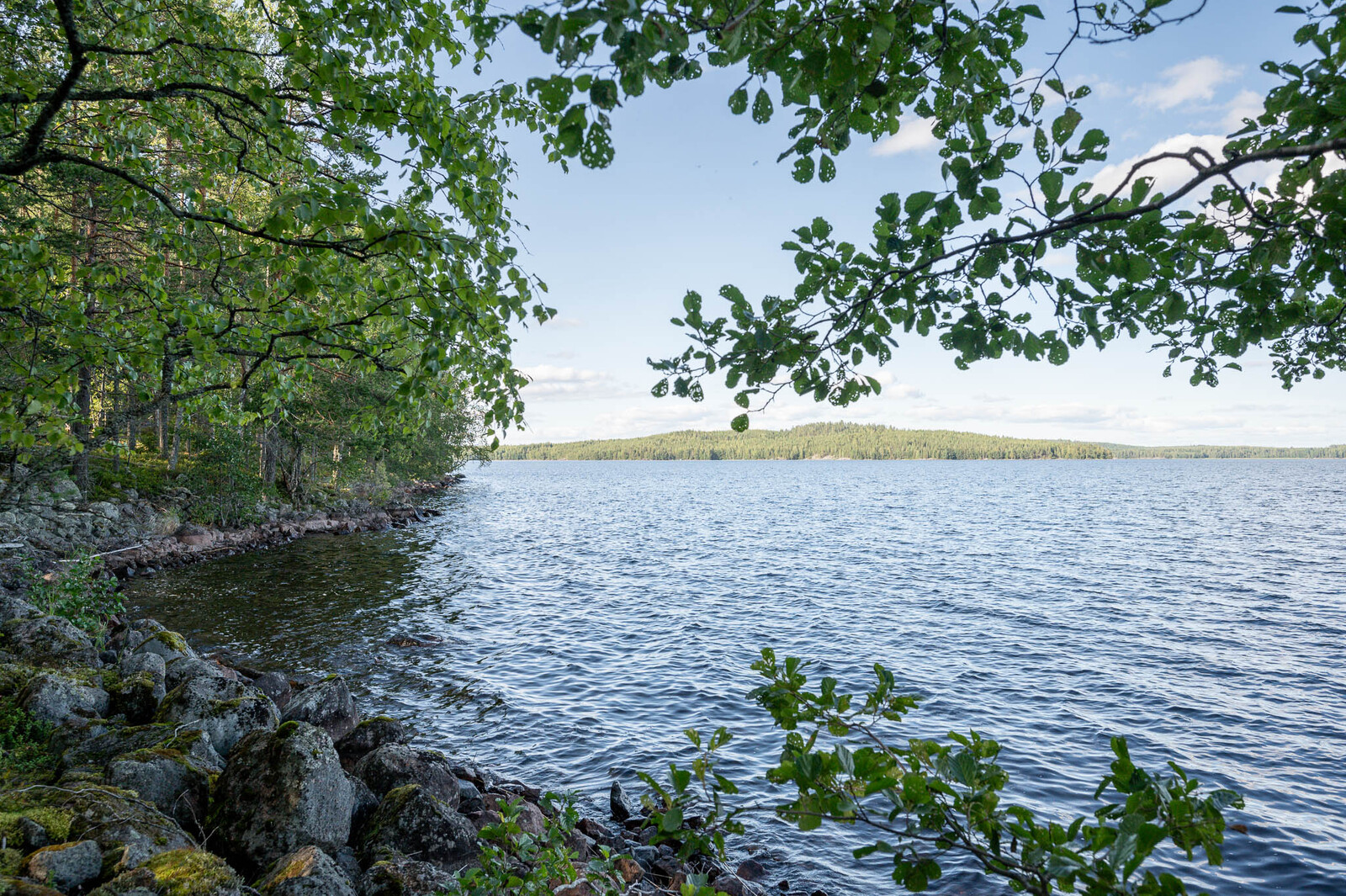 Kivikkoinen järven ranta, oksia työntyy kuvaan, vasemmalla rantametsää, vastaranta näkyy kaukana.