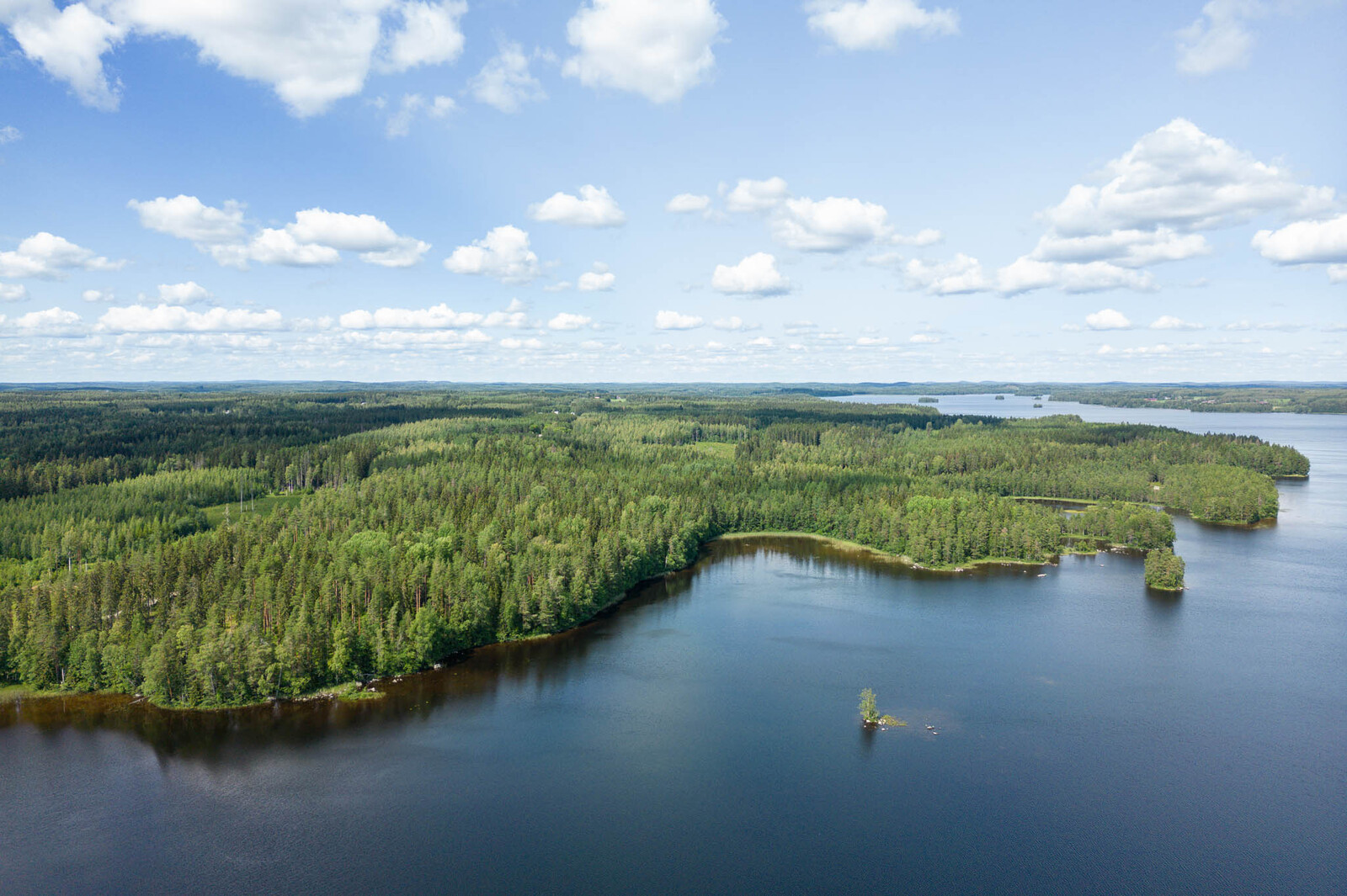 Ilmakuva Pajanlahteen päin, tonteilla kasvaa sekalaista puustoa. Taivaalla on valkoisia pilviä.