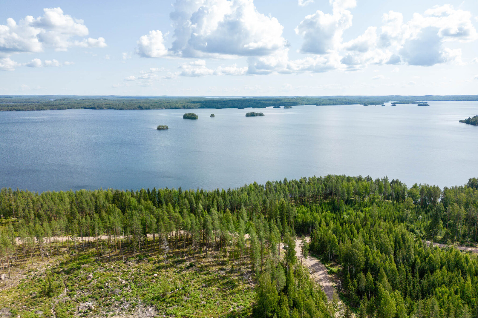 Ilmakuva tonttien takaa järvelle päin. Tonttitie erottuu puiden keskeltä. Järvellä näkyy saaria.