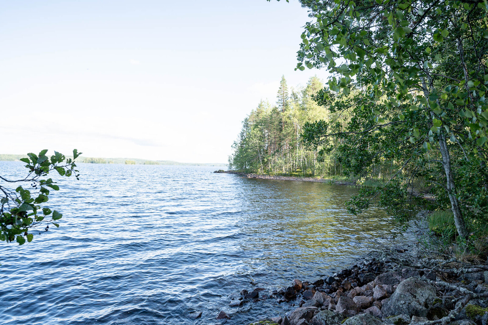 Kivikkoinen järven ranta, oksia työntyy kuvaan, oikealla rantametsää, vastaranta näkyy kaukana.