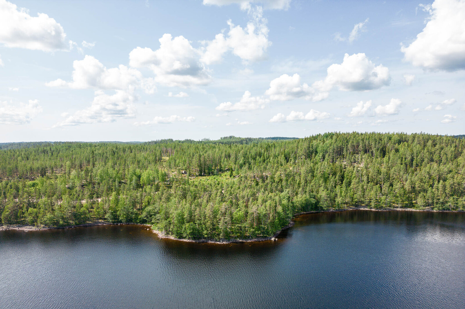 Maisema järveltä tonteille päin. Metsä näyttää kuusivaltaiselle. Taivaalla on pilviä.