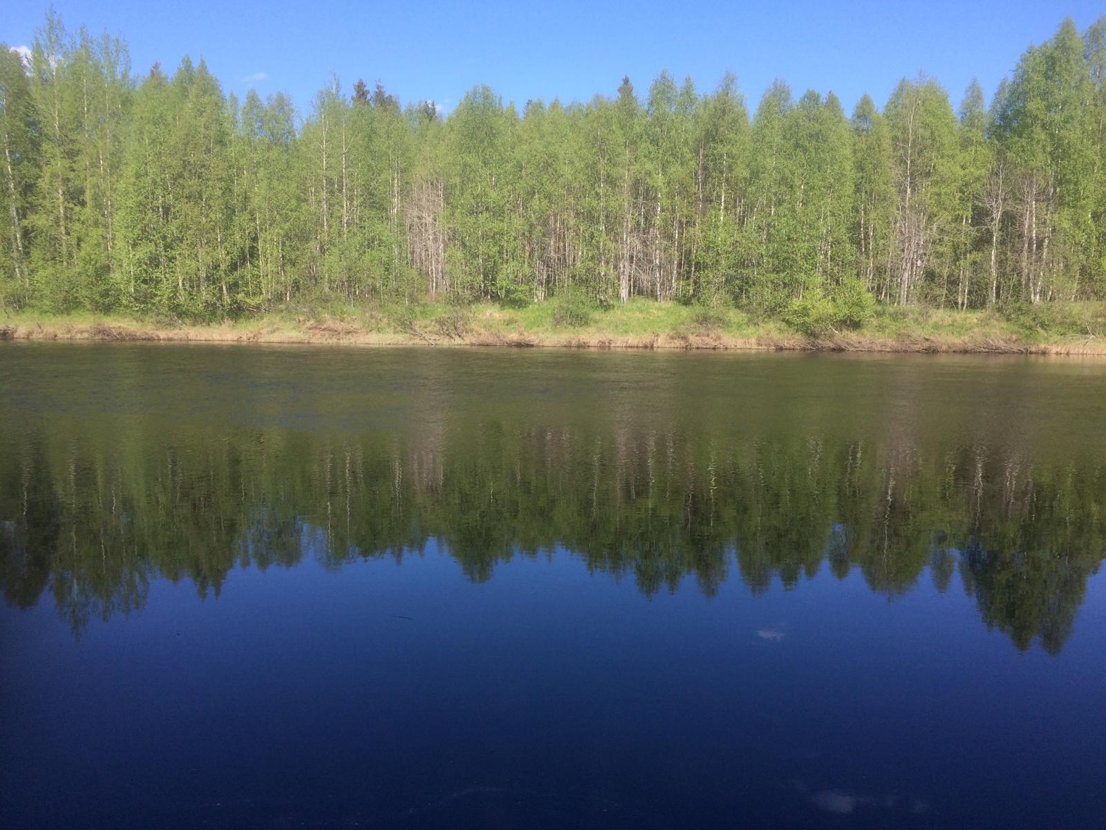 Vastarannan metsä ja lähes pilvetön taivas heijastuvat joen tyyneen pintaan.