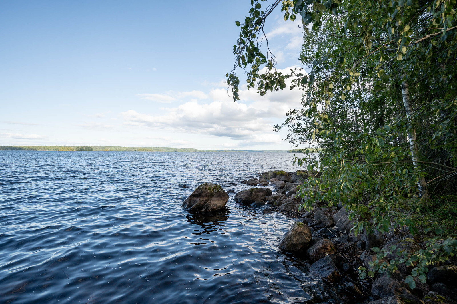 Näkymä ulapalle tontin rannasta, oikealla rannan kivikkoa sekä lehtipuita rannalla.