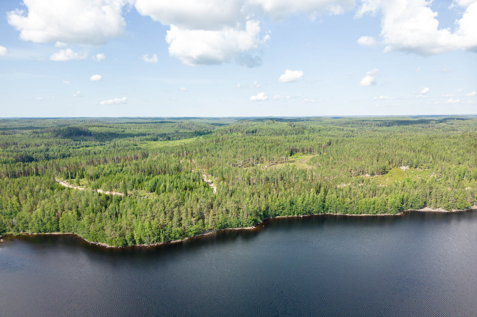 Ilmakuva järveltä tonteille päin. Metsässä erottuu hakkuuaukko. Taivaalla on valkoisia pilviä.