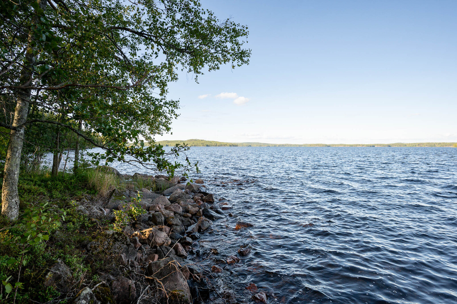 Näkymä ulapalle tontin rannasta, vasemmalla rannan kivikkoa sekä lehtipuita rannalla.