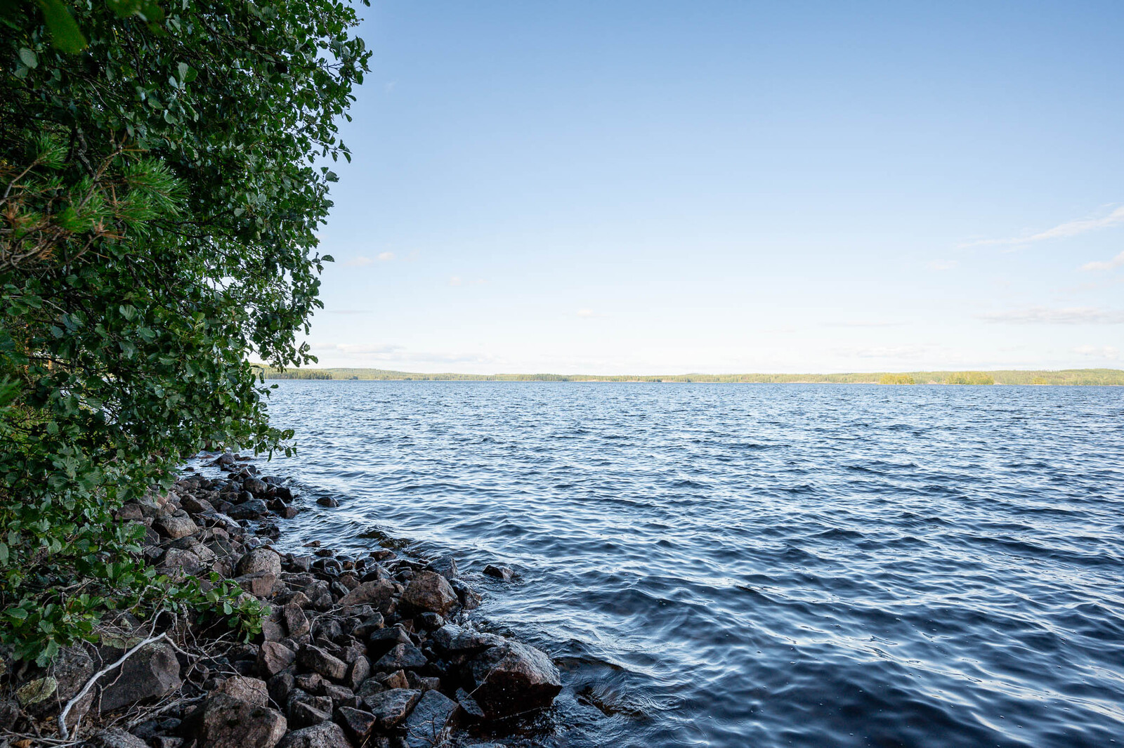 Näkymä ulapalle tontin rannasta, vasemmalla rannan kivikkoa sekä lehtipuita rannalla.