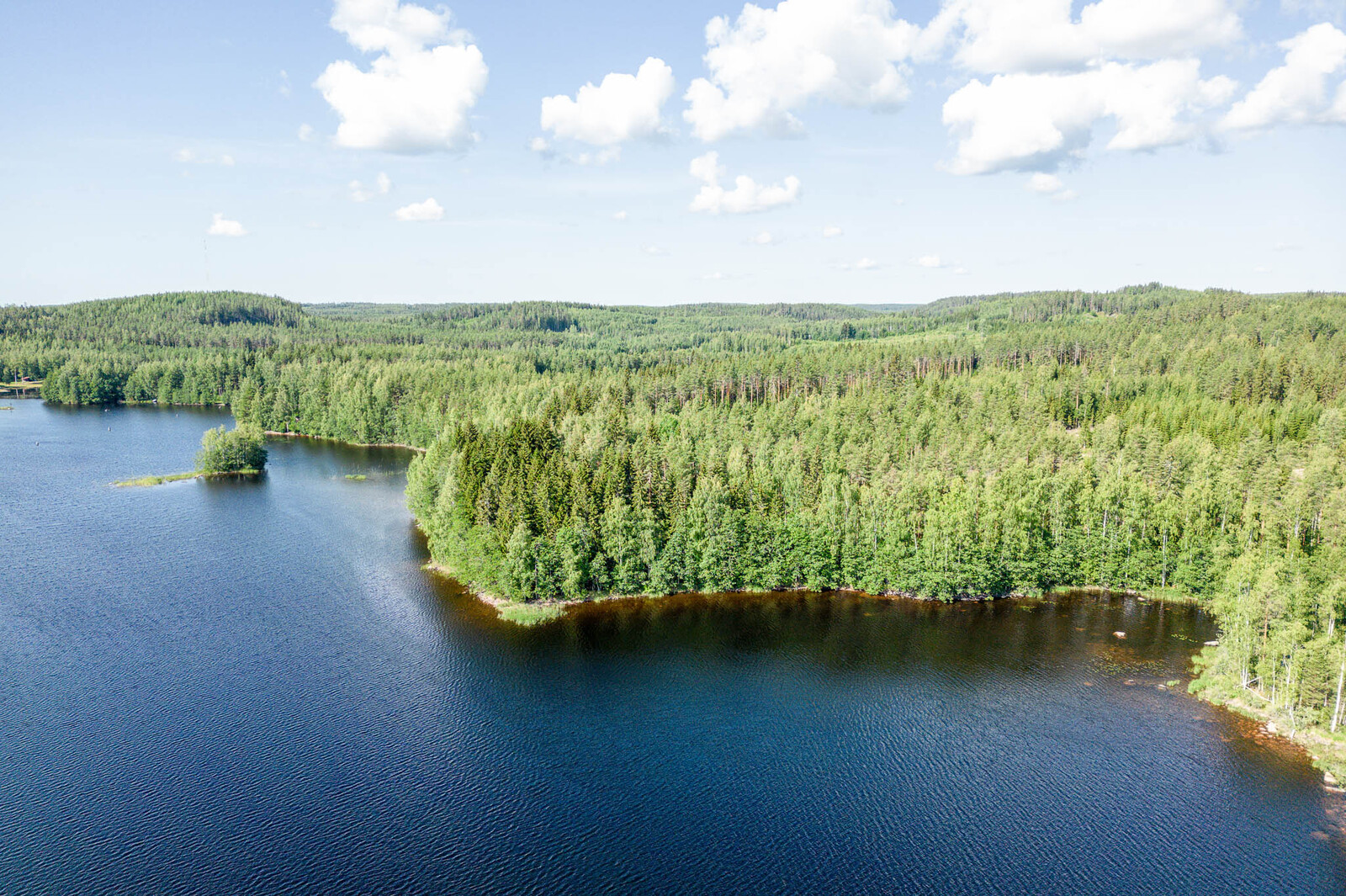 Ilmakuva järveltä tonteille päin. Metsässä erottuu erilaisia puita. Taivaalla on valkoisia pilviä.