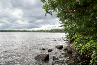 Järven rantavettä, vedestä pilkottaa kiviä. Oikealla rannalla kasvaa lehtipuita.