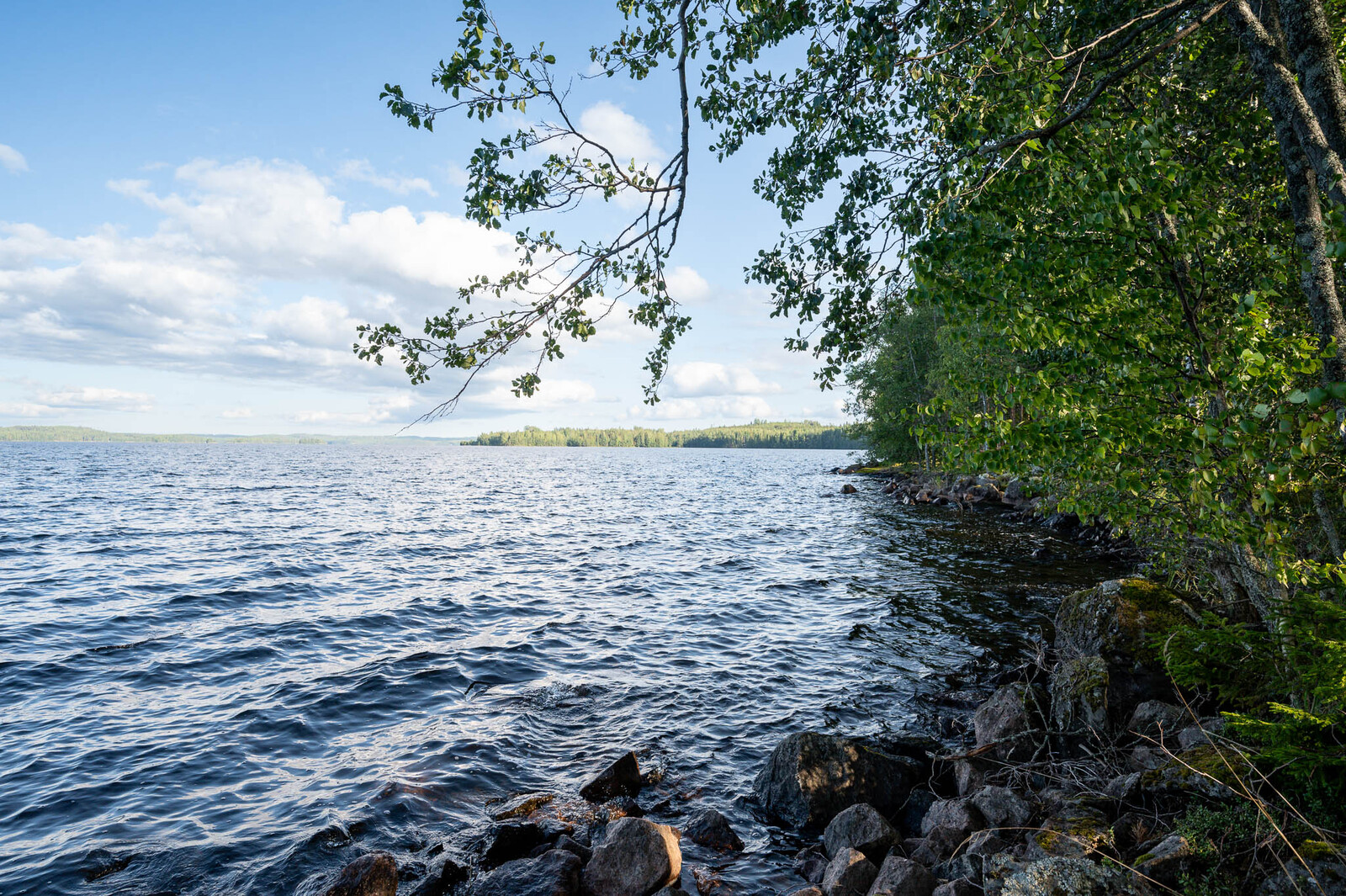 Näkymä ulapalle tontin rannasta, oikealla rannan kivikkoa sekä lehtipuita rannalla.