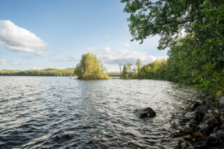 Kuva järven rannan myötäisesti kohti Nappasenniemeä. Niemen edustalla näkyy saari.