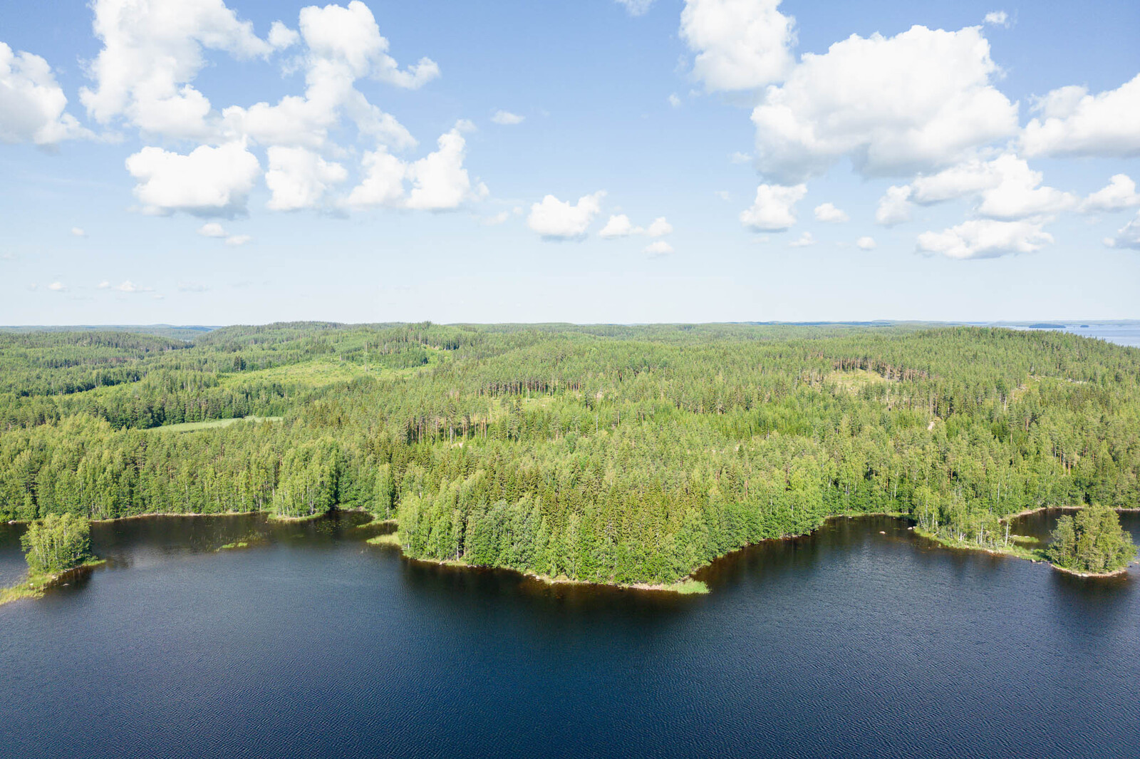 Ilmakuva järveltä tonteille päin. Metsässä erottuu hakkuuaukko. Taivaalla on valkoisia pilviä.