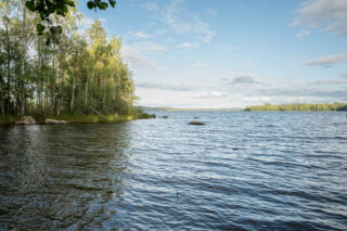 Kuva järven rannan myötäisesti kohti Nappasenniemeä. Niemen edustalla näkyy kiviä vedessä.
