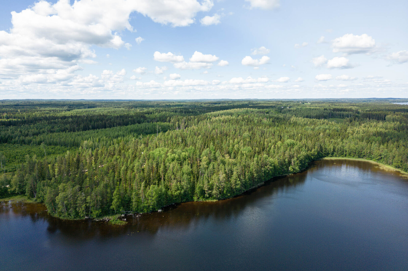 Ilmakuva Pajanlahteen päin, tonteilla kasvaa sekalaista puustoa. Taivaalla on valkoisia pilviä.