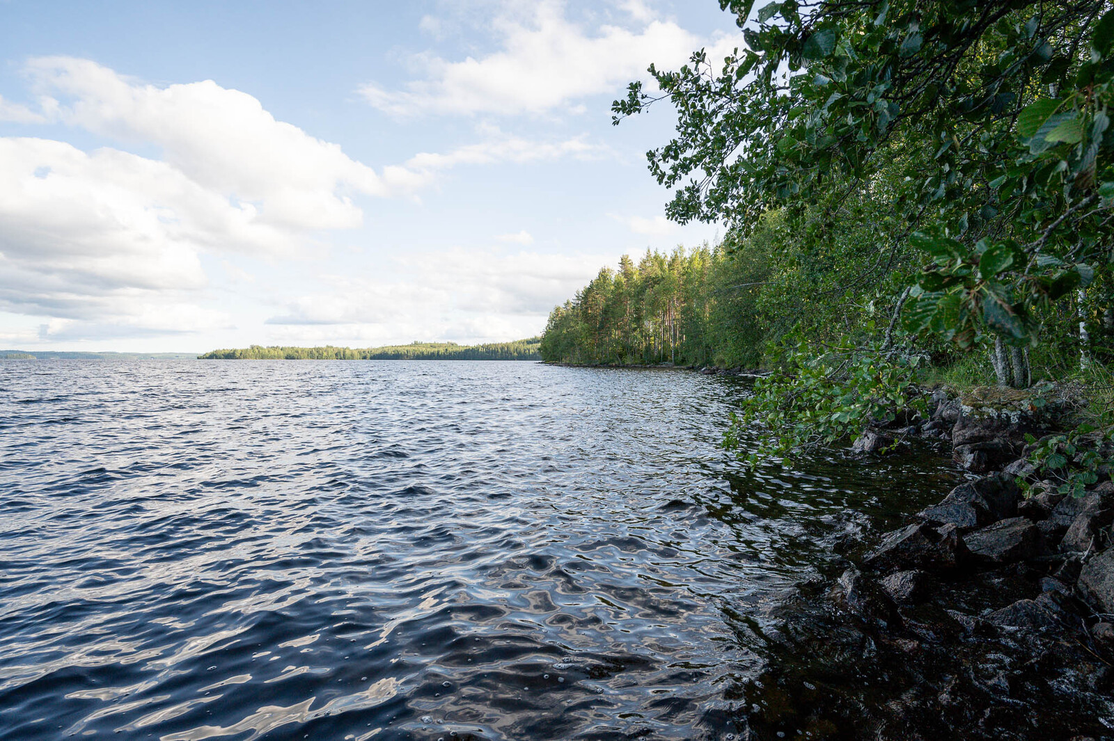 Näkymä ulapalle tontin rannasta, oikealla rannan kivikkoa sekä lehtipuita rannalla.