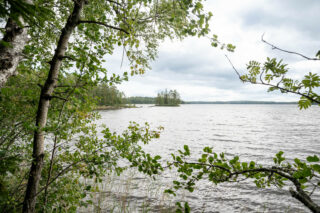 Maisema rannalta järvelle. Lehtipuun oksia työntyy kuvaan, kauempana näkyy pieni saari.