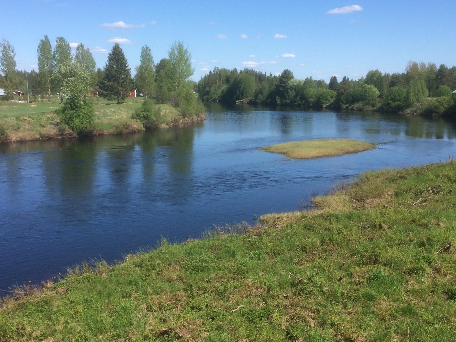 Kesämaisemassa joki tekee mutkan peltojen ja sekametsien keskellä. Rannalla on rakennuksia.