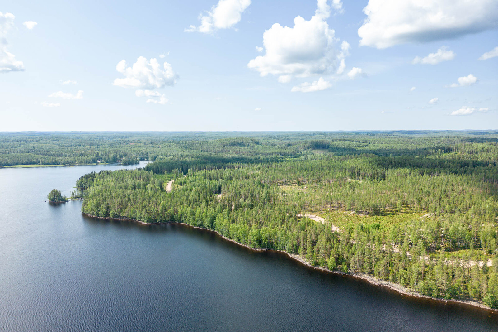 Ilmakuva järveltä tonteille päin. Metsässä erottuu hakkuuaukko. Taivaalla on valkoisia pilviä.