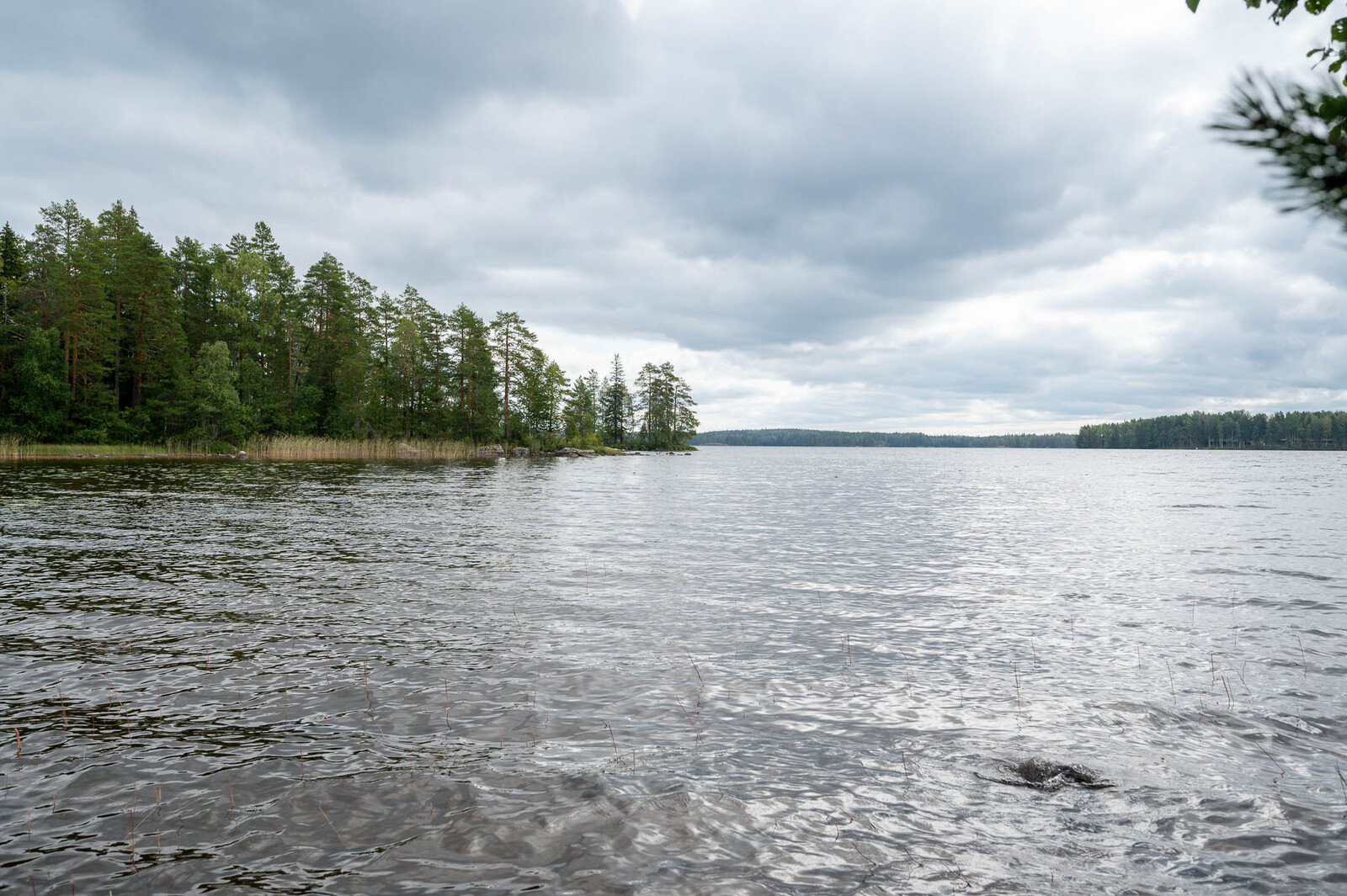 Maisema järvelle, viereinen niemi työntyy kuvaan puustoineen. Vastaranta näkyy kaukaisuudessa.