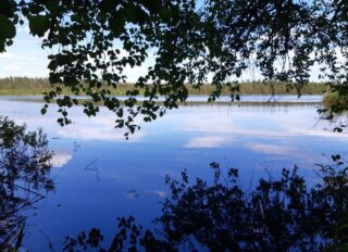 Sininen järvi, puun oksat työntyvät mustina kuvaan yläpuolelta ja heijastuvat takaisin järvestä.