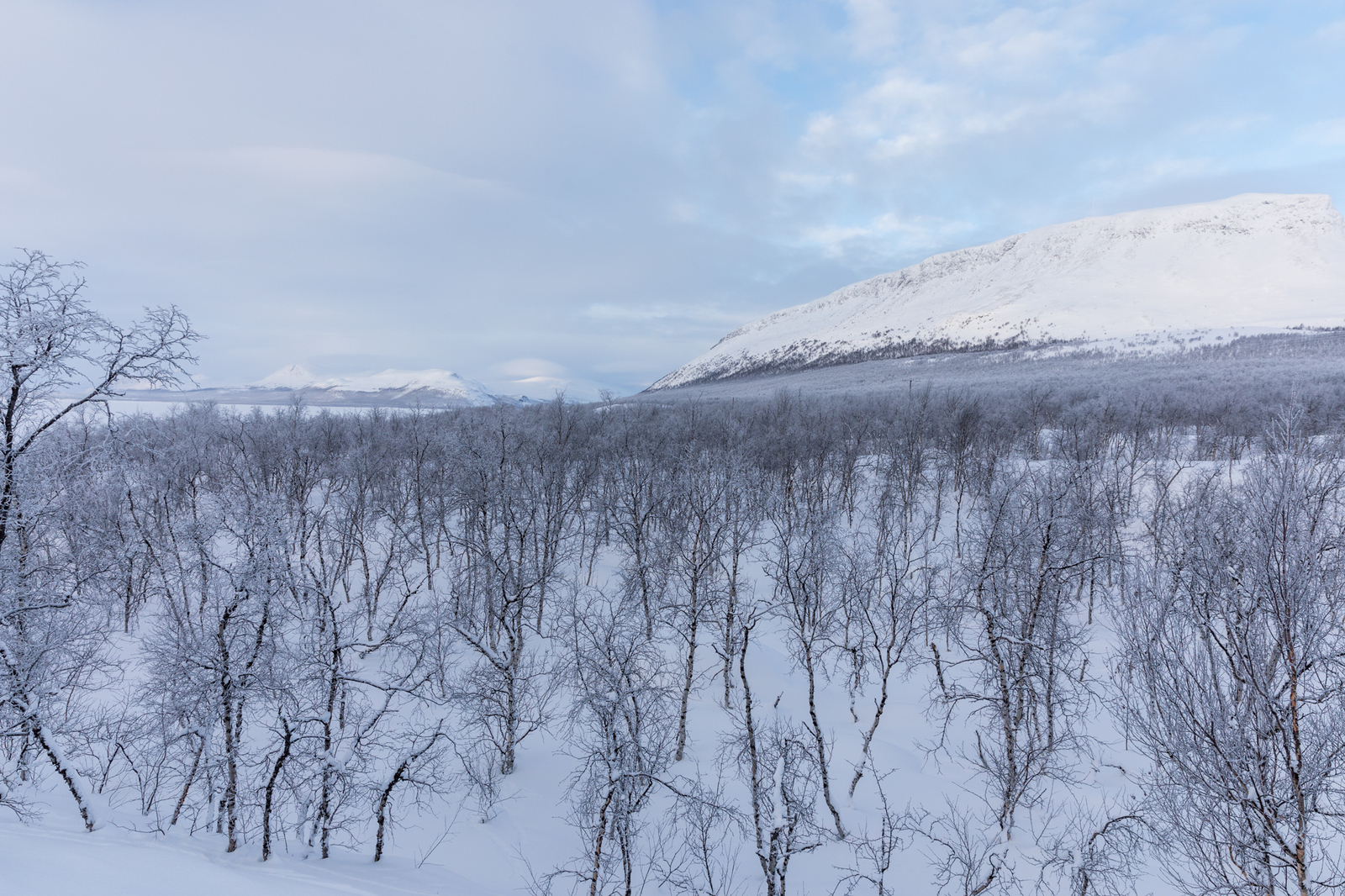 Enontekiö, näkymä tunturikoivikkoiselta tontilta Saanalle