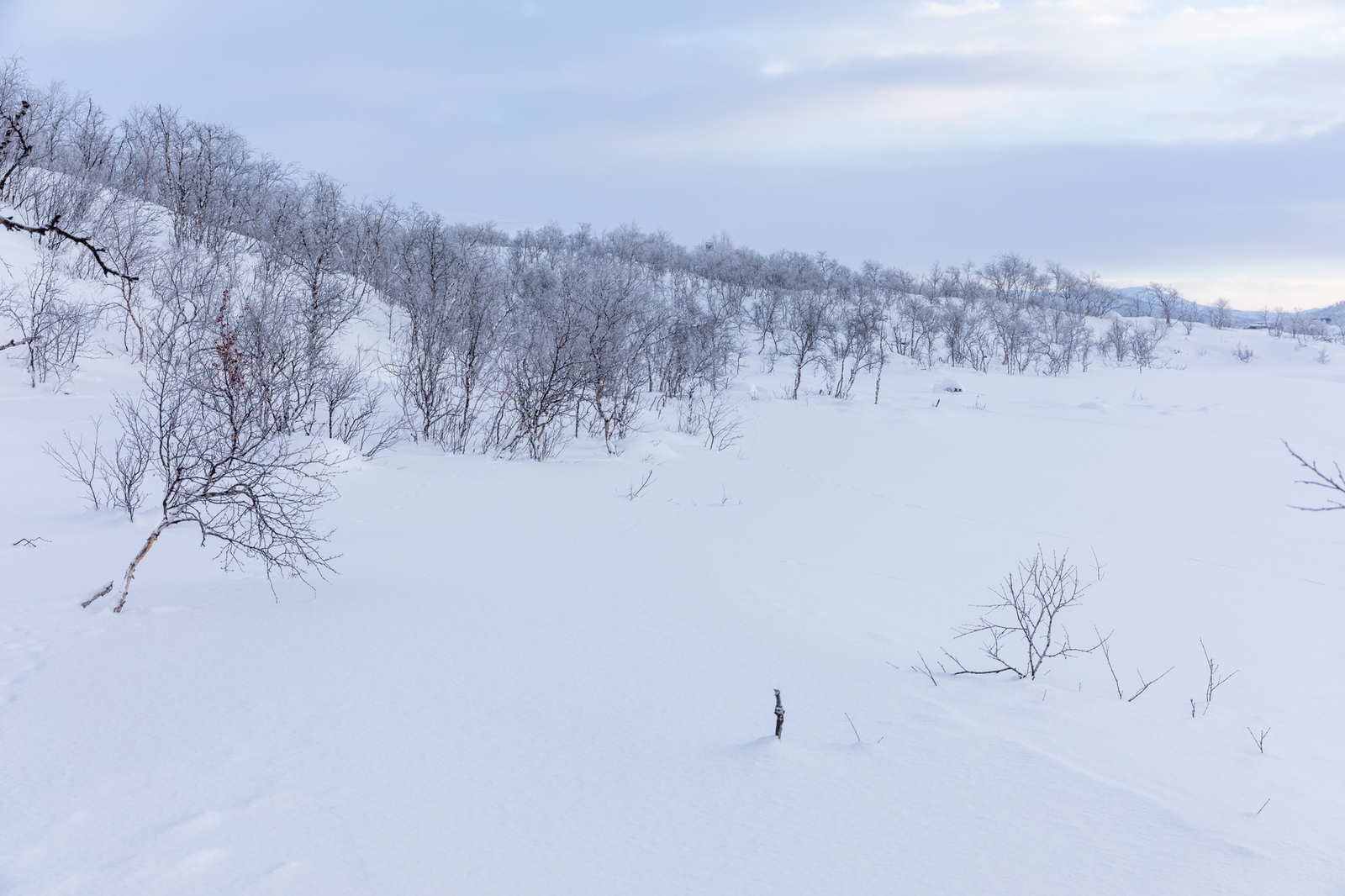 Enontekiö, Kilpisjärven rantamaisema