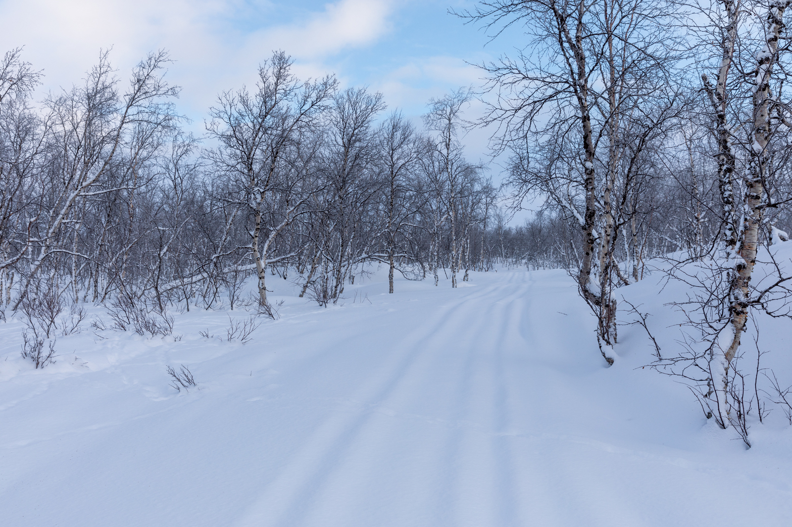 Enontekiö, tontin läheisyydessä kulkeva näkyvä kelkkareitti